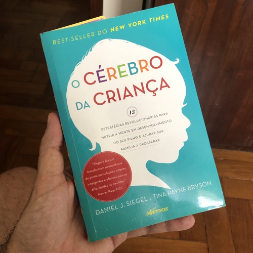 Livro O Cérebro da Criança